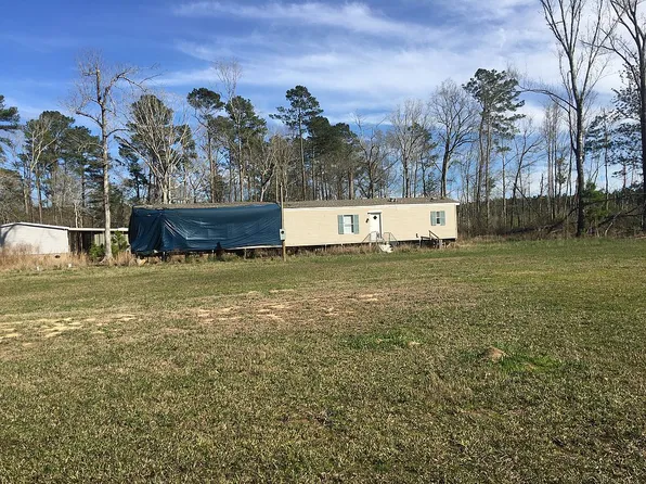 19764 Palmer Rd, Livingston, LA 70754