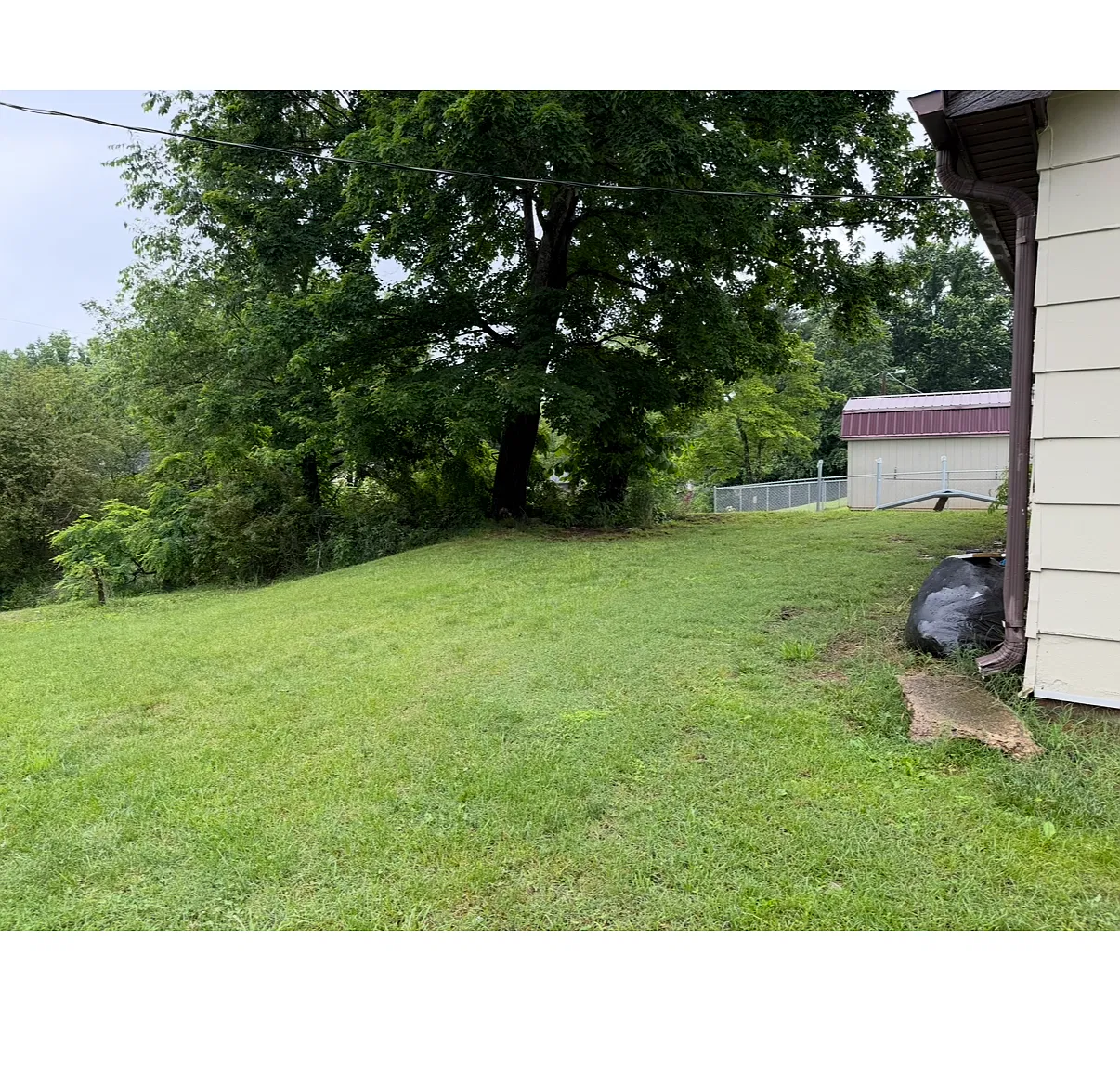 3 bed, 1231 sqft, $1,295 — Photo 3