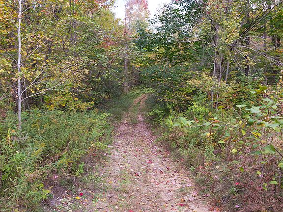 Trail to food plots