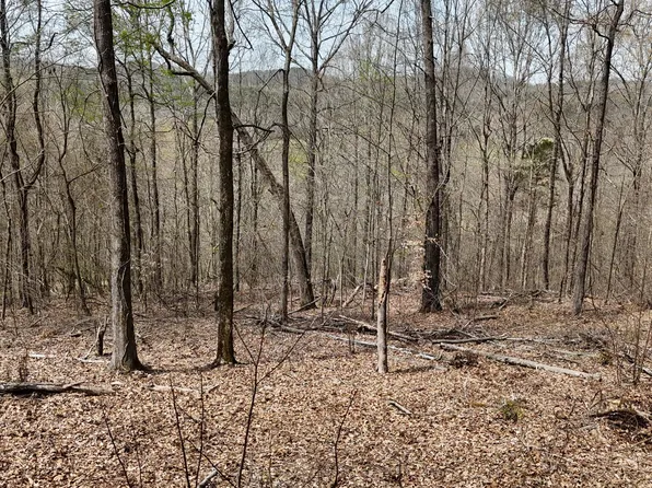 0 Geren Subdivision Ln, Decatur, TN 37322