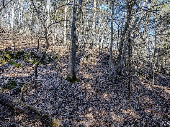 4th image of Possibly Compass Rd