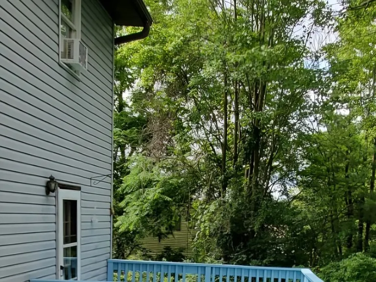 717 Squires Ave #LEFT — Photo 4