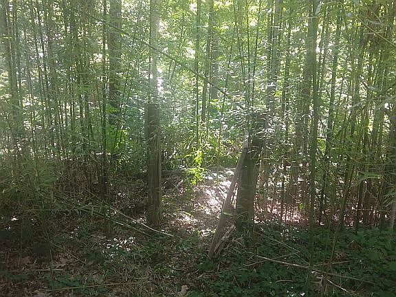 Thru the gate and to the lake