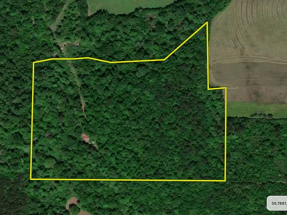 4th image of 37149 Hammond Sylvest Rd Lot Wp001