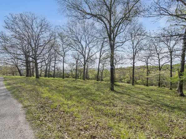 Tbd Balsa Road, Forsyth, MO 65653