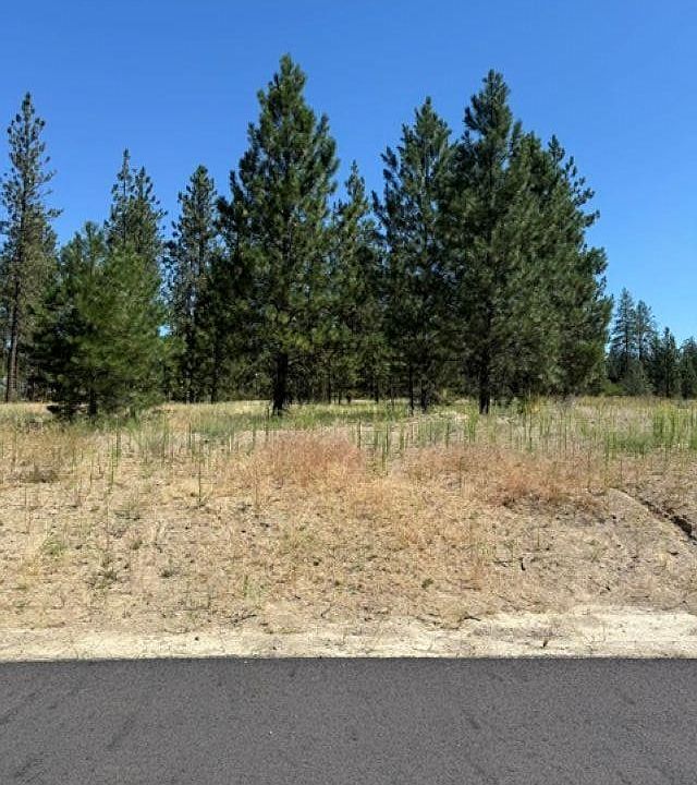 1st image of LOT 16 Long Lake Estates Est