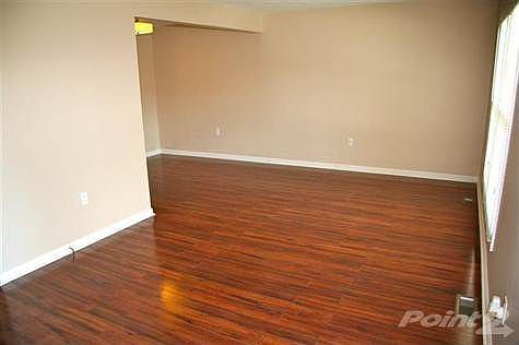 New wood laminate flooring in the living room.