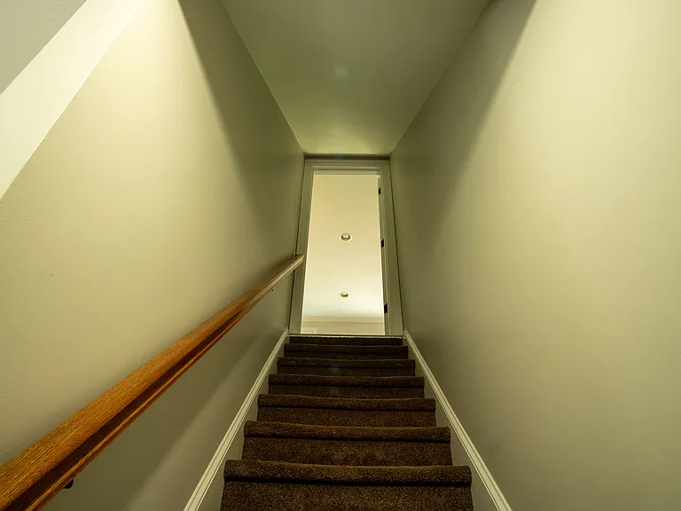 Basement stairs leading to first floor