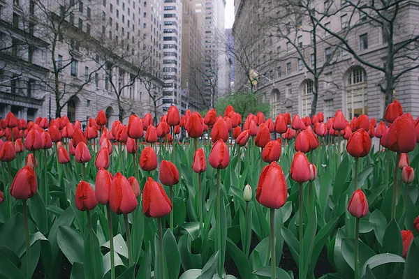 Rented by Compass | media 24