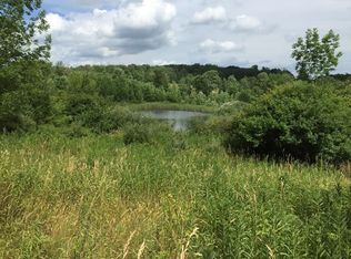 0 Helms Rd, Savona, NY 14879