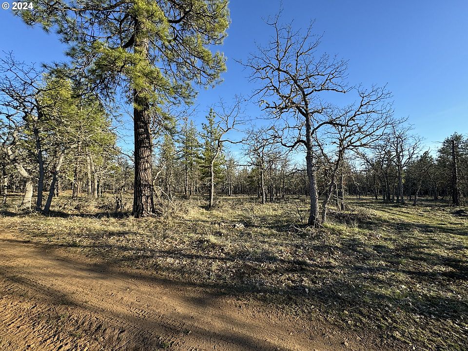 1st image of Piney Woods #2