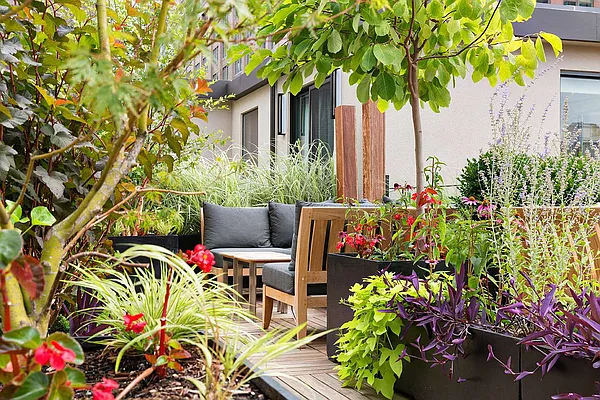 Rented by Compass | media 35