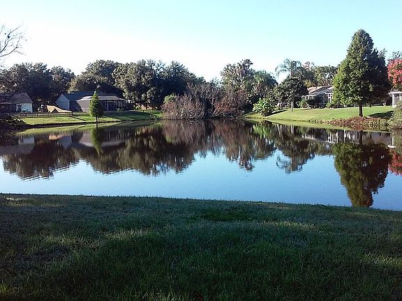 Pond view 2