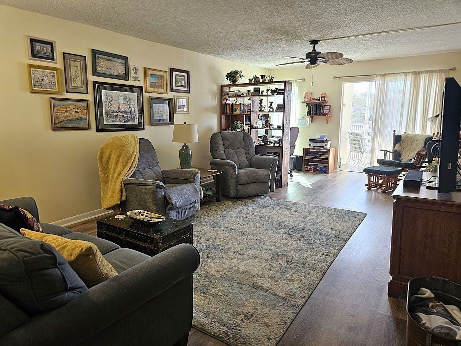 Living room is both cozy and well lit