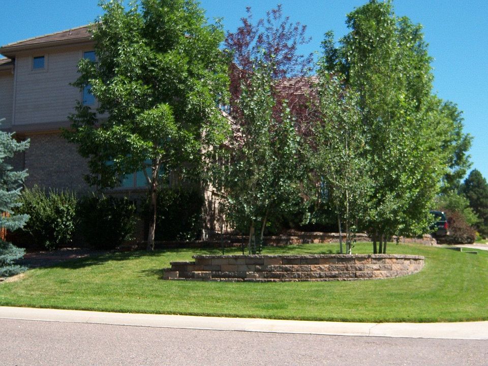 New landscaping