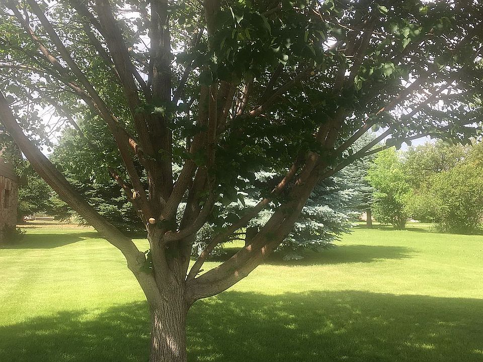 77 W Main St, Cowley, WY 82420 Zillow