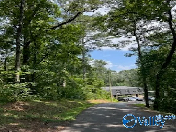 Alford St, Guntersville, AL 35976