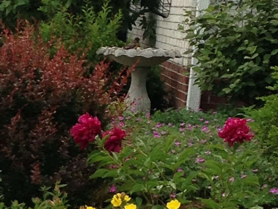 2nd image of 7124 Aigner Ct