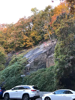 Sold by Douglas Elliman | media 17