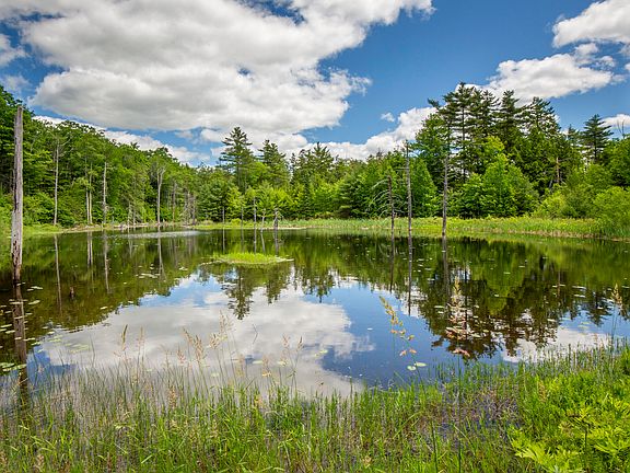2nd image of 169 Patrick Mountain Lane