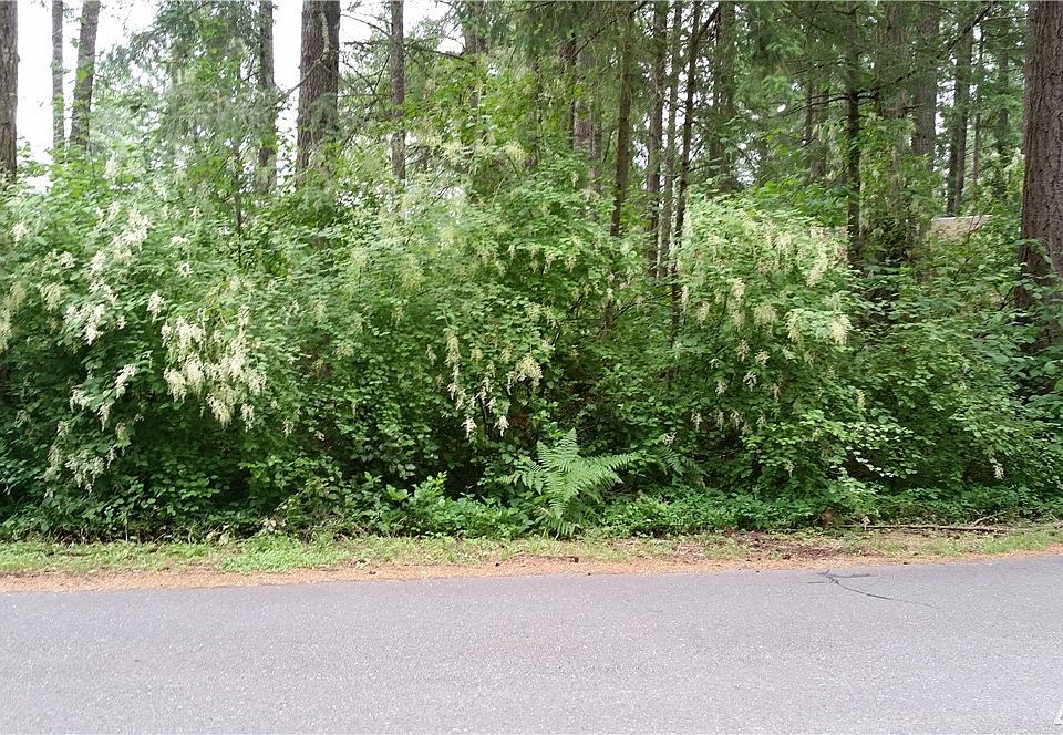 1st image of 17930 Clearland Blvd SE