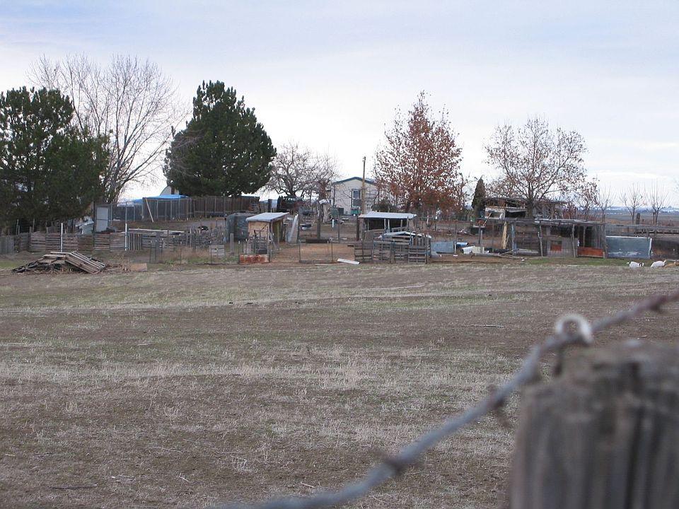 Pasture