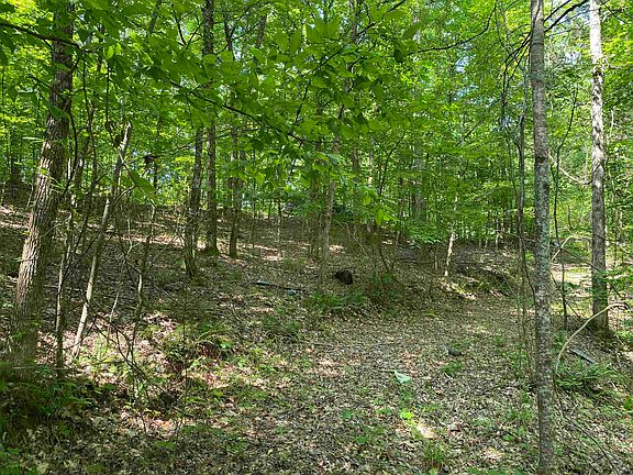 14th image of this home