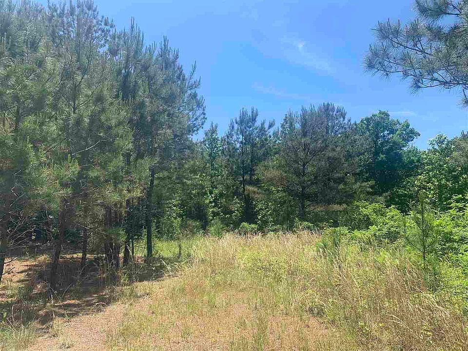 Tbd Fm 125, Bivins, TX 75555 Zillow