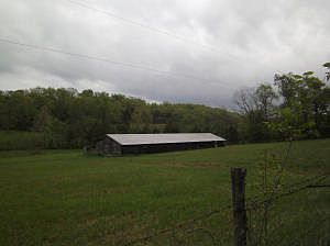 5th image of Shamrock Ln