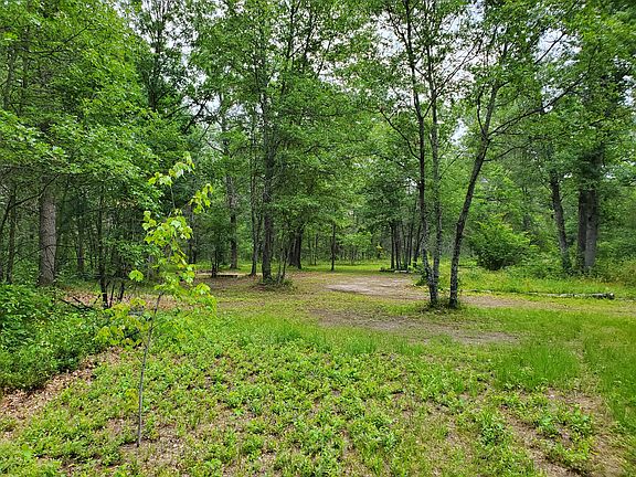 4th image of 4767 Spicebush Trl
