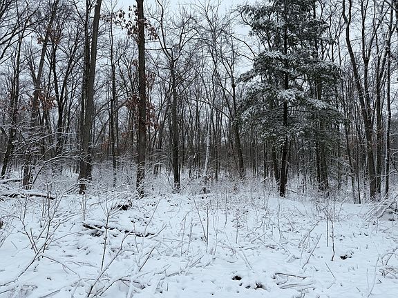 2nd image of Steinberg Rd