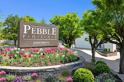 Pebble Point Apartments Photo 1