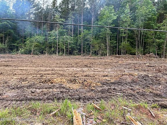 3rd image of 715 Old Pinola Braxton Rd