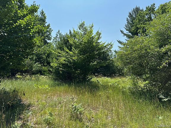 4th image of 77 E Starlight Ridge Cir