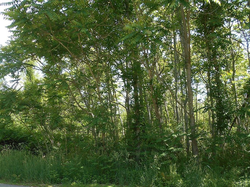 1st image of 21 Papermill Rd