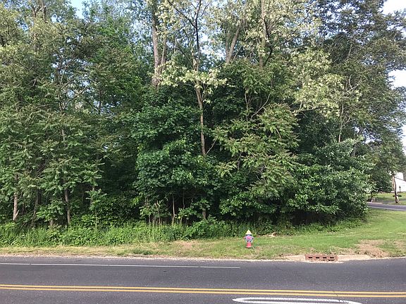 sub-divided wooded lot