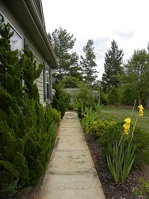 Sidewalk to front door