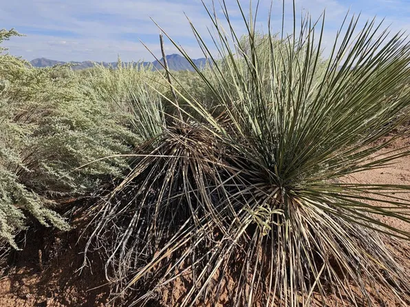 Vl Tierra Grande Block 11 Lot 4-10, Socorro, NM 87801