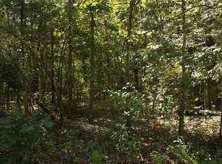 1505 Blackbird Ln #779, Horseshoe Bend, AR 72512