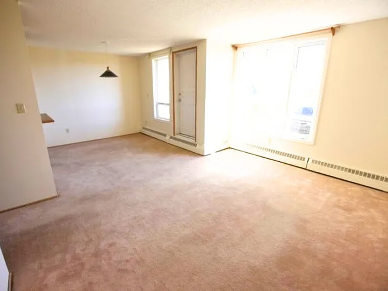 450 Ross Haven Dr — Photo 5