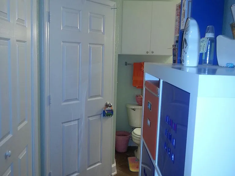 Bathroom hallway. Laundry closet to the left. Walk in closet door ahead.