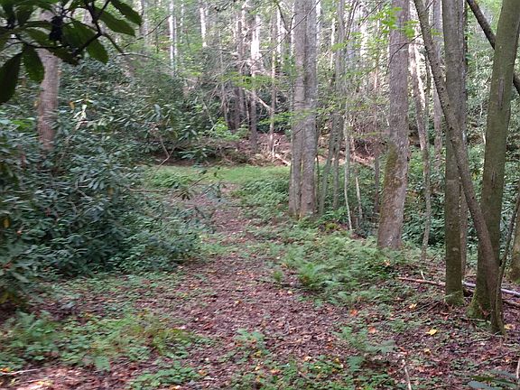Driveway (gravel underneath)