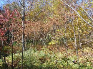 75 Sutterlein St, Hancock, NY 13783