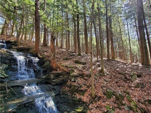 LOT 62 State Highway 205, Mount Vision, NY 13810