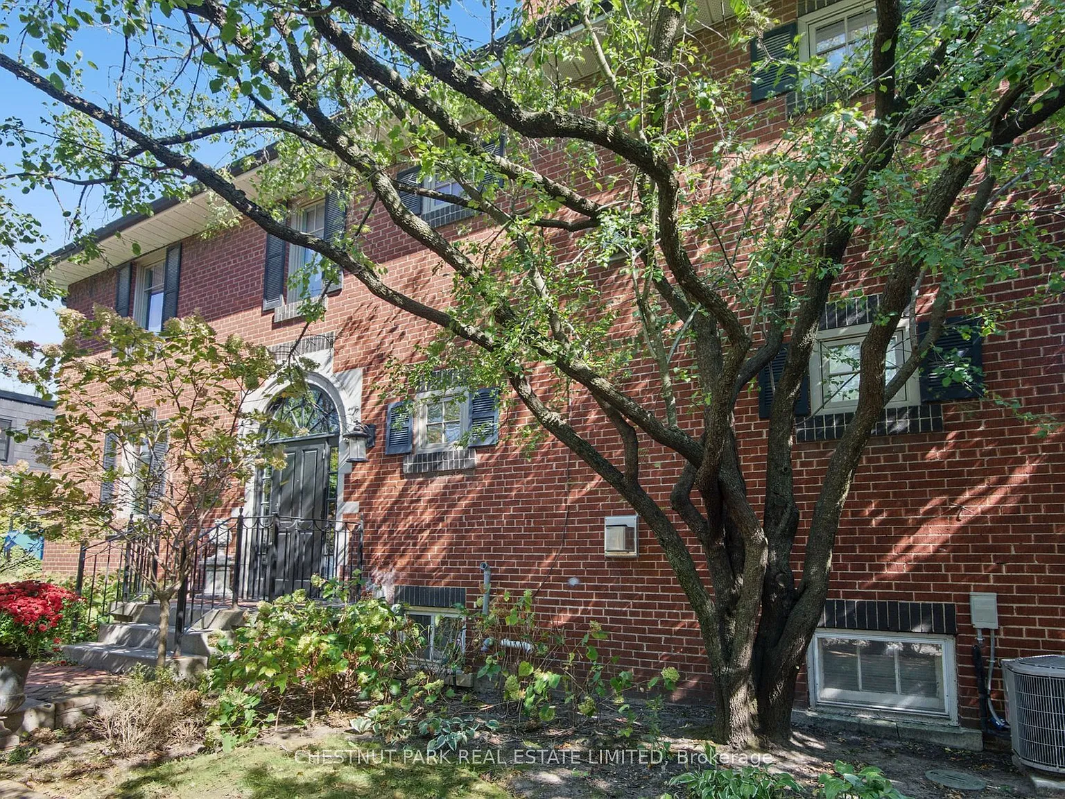 1 bed, $1,500 — Photo 1