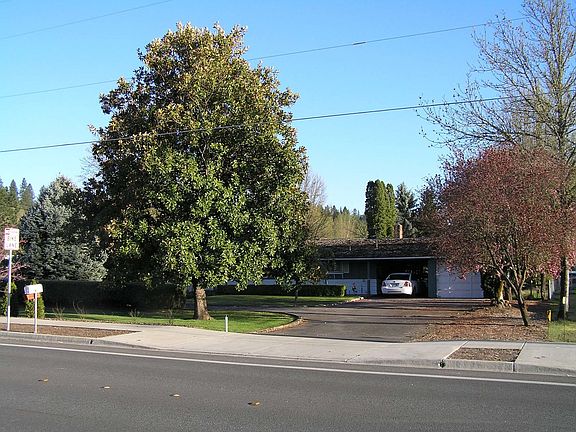 Magnolia plus more