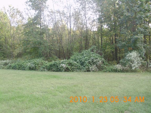 Yard 10/2013