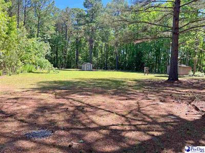 Justus Dr, Blenheim, SC, 29516