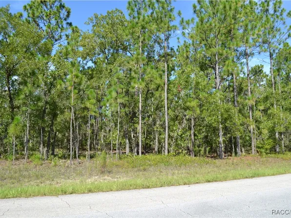 5803 N Maroon Way, Beverly Hills, FL 34465