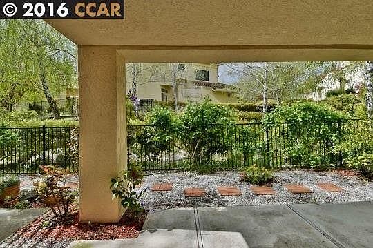 Backyard from Master